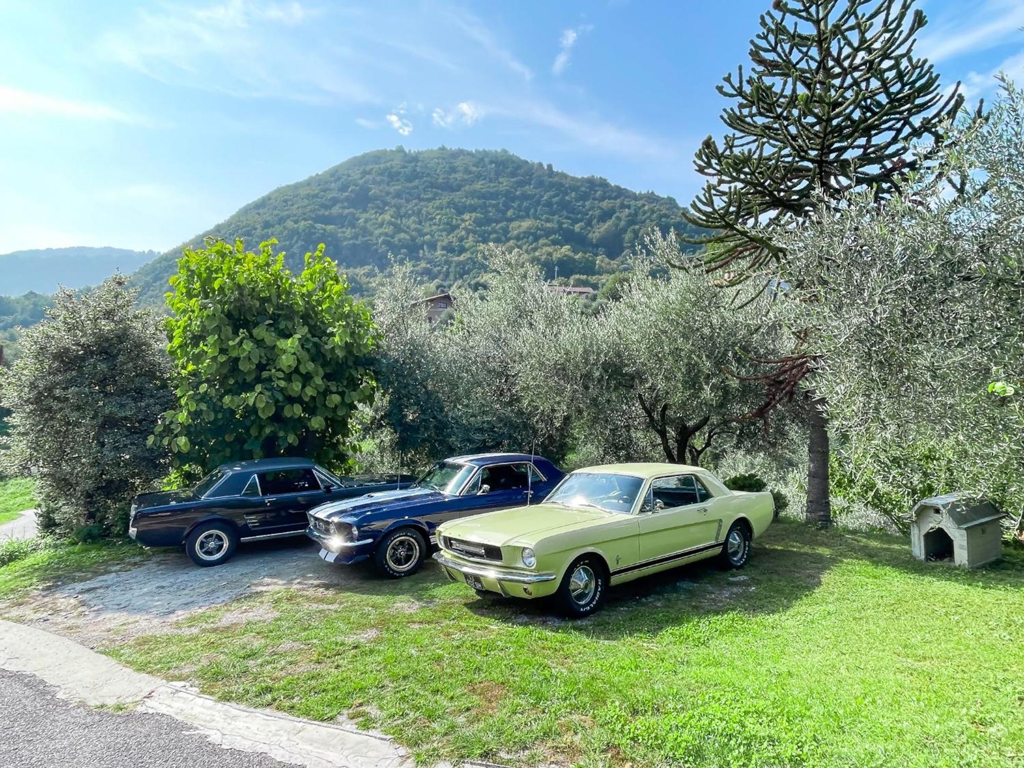 Appartamento Tivano Balcone Con Vista Lago Bellagio Exterior photo
